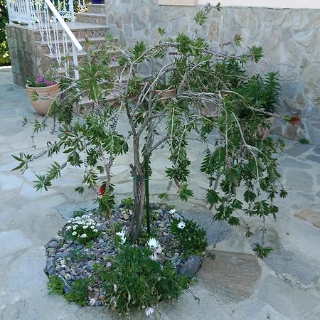 Les Espaces De *